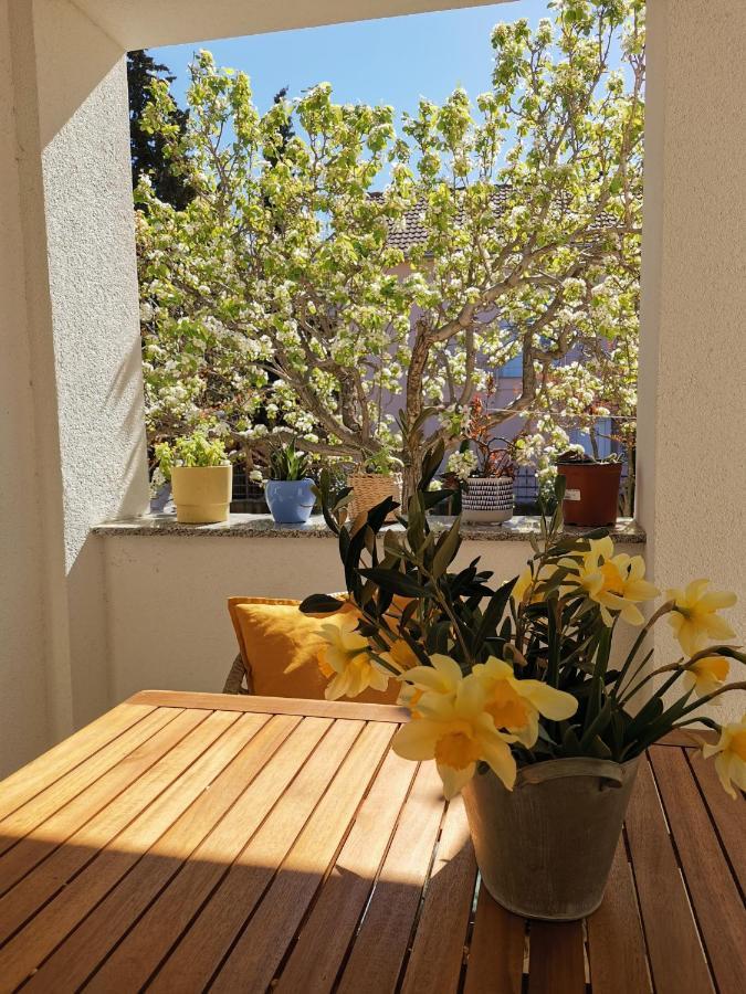 Apartman Soto Пировац Экстерьер фото
